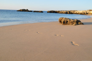 Walking from sea