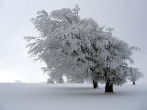 lilav.bg_РИМИ_Сезони_PIC1